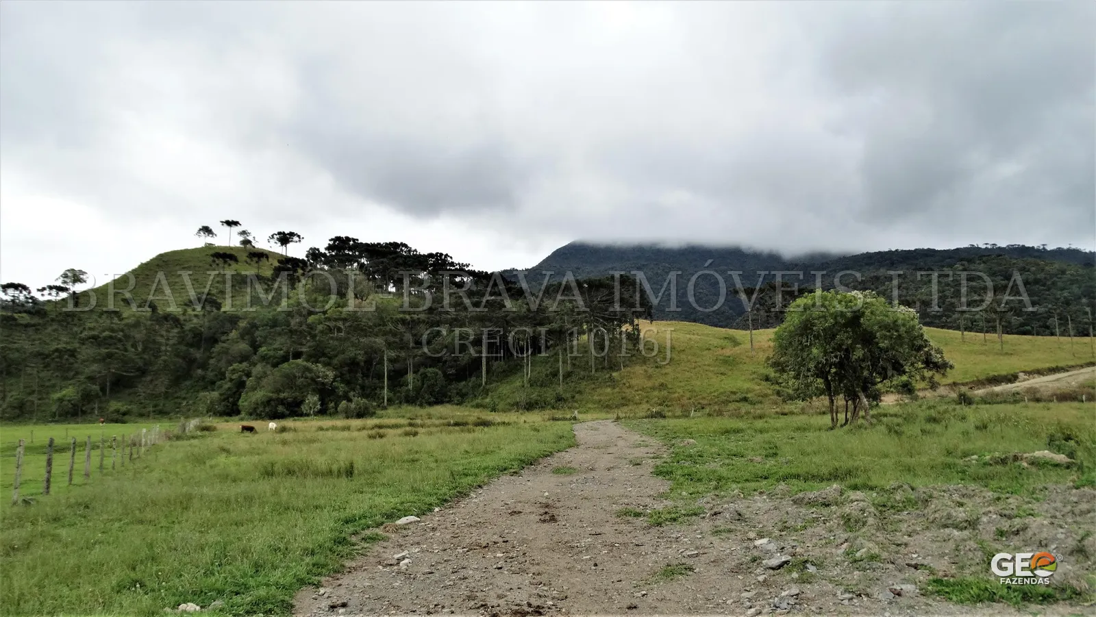 Área rural com pastagem e estrada de terra