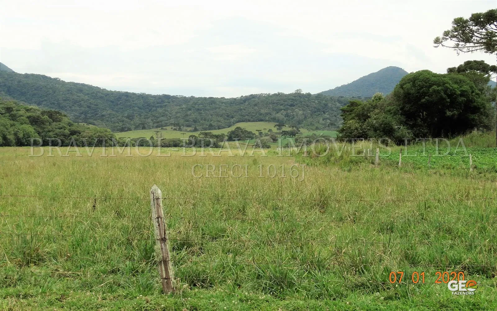 Campo aberto com cercas e vegetação nativa
