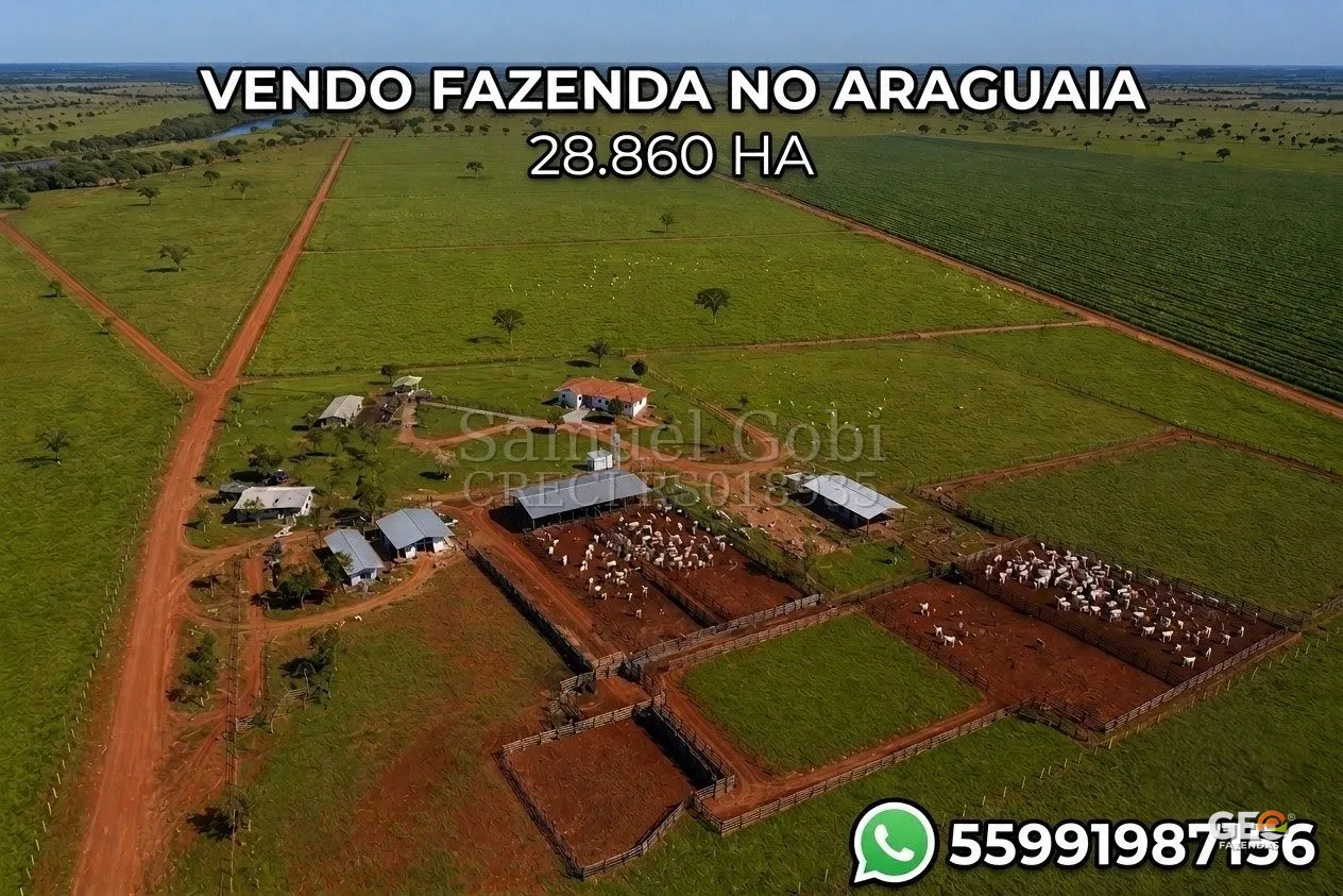 Mídia do imóvel