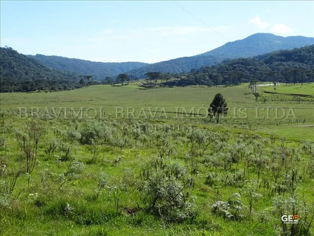 Área rural com pastagem e vegetação natural