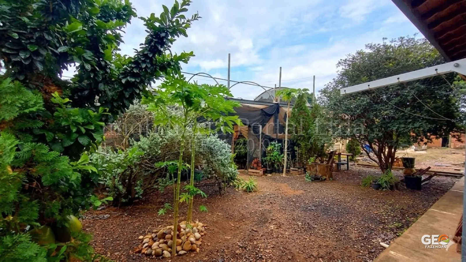 Área externa com vegetação e estrutura simples