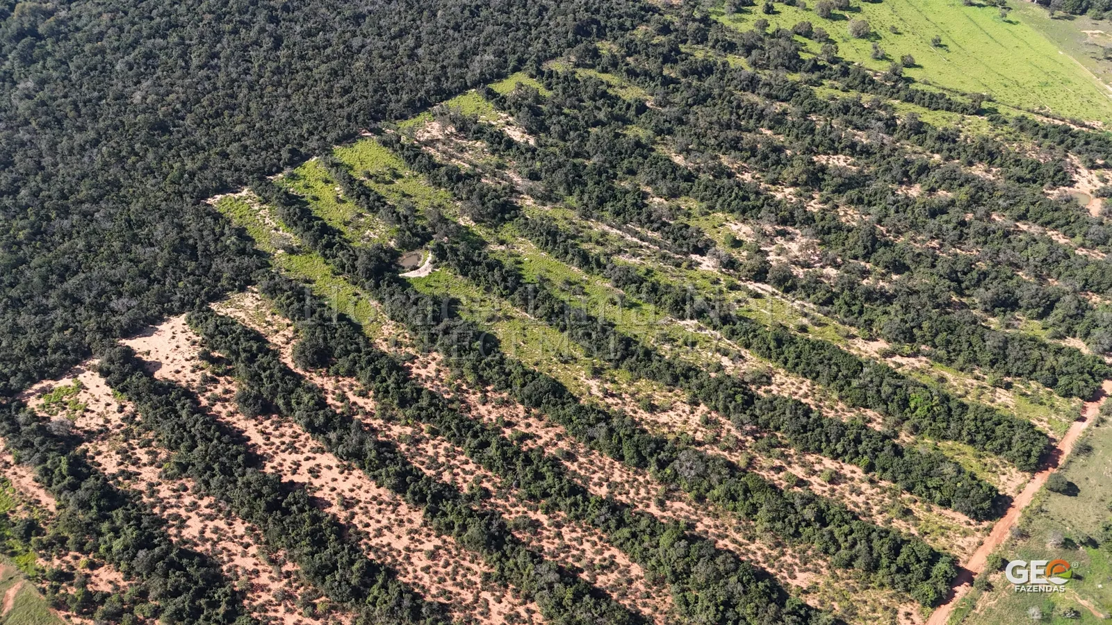 Vista aérea de área rural com vegetação e pastagem