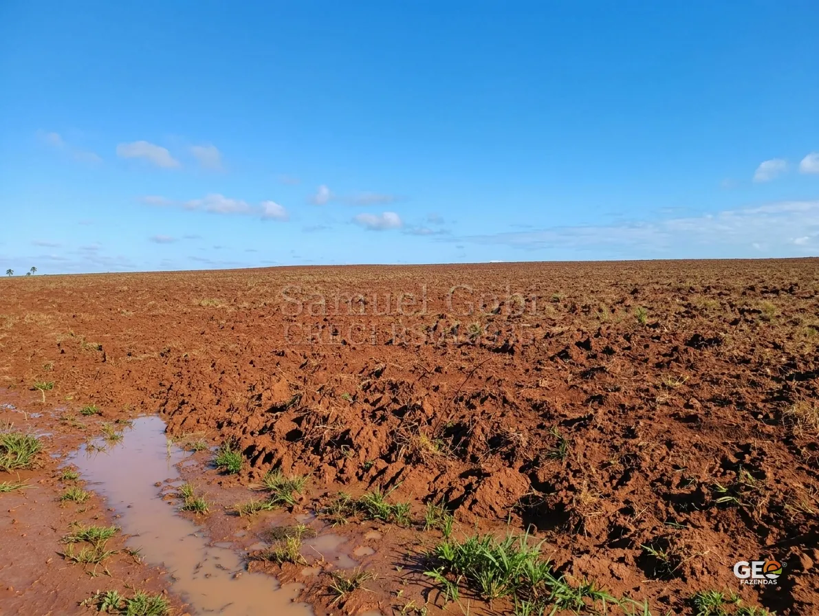 Terreno rural arado com solo úmido