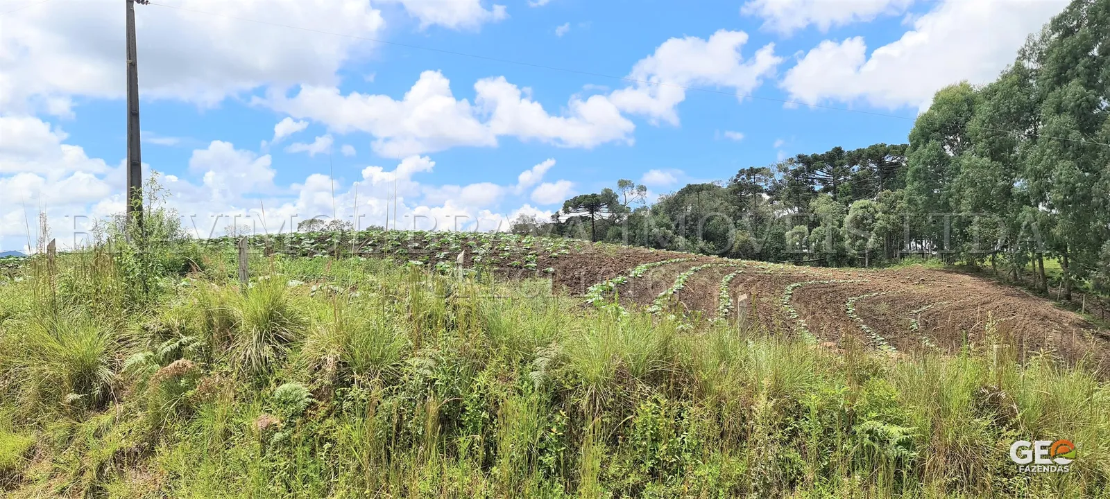 Área rural cultivada com plantio em curvas de nível