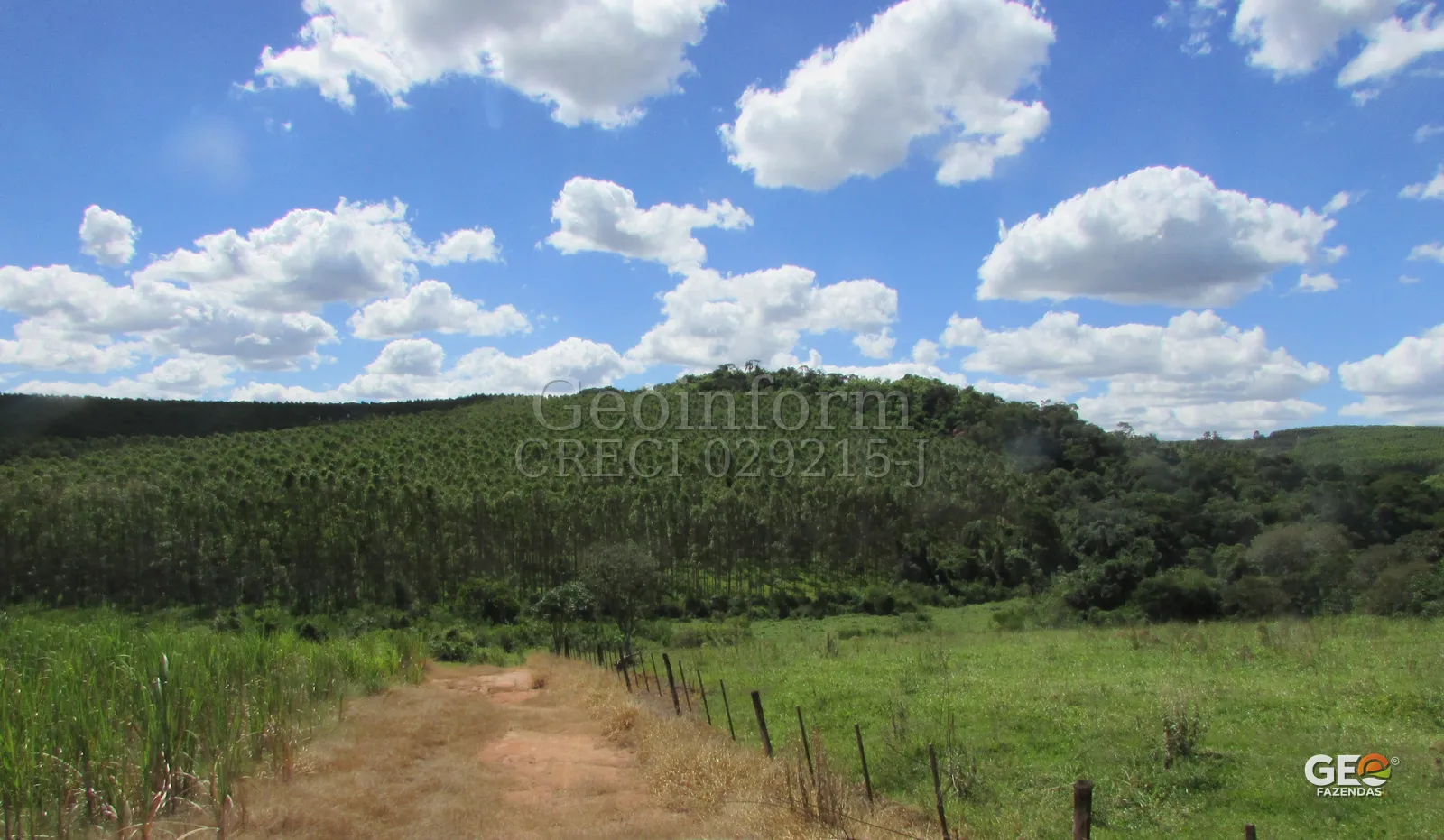 Área rural com vegetação e caminho de terra