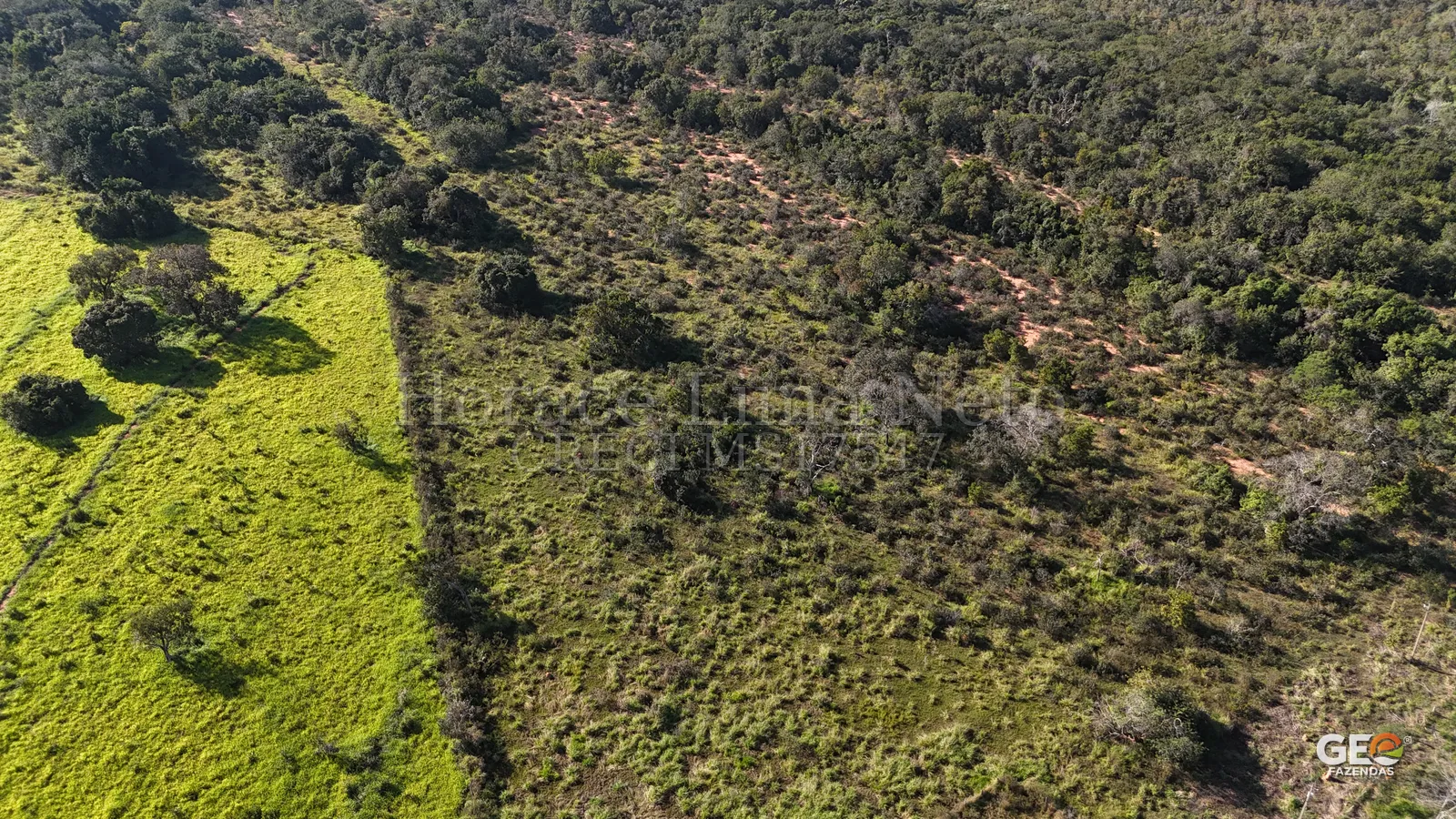 Área rural com pastagem e vegetação nativa