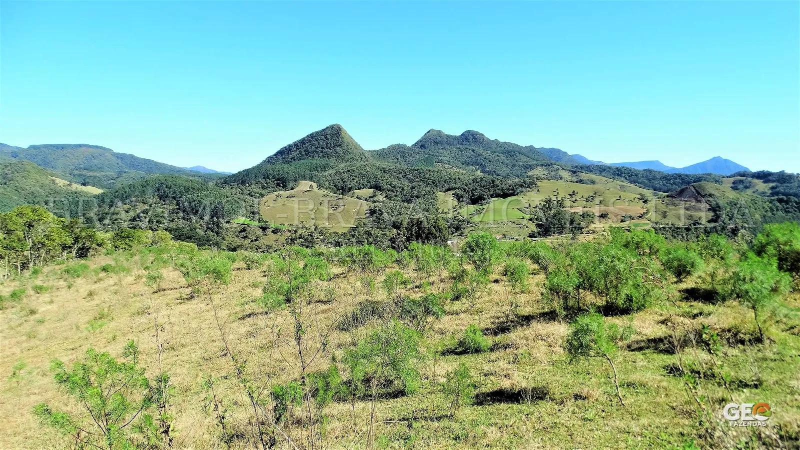 Área rural com vegetação e montanhas ao fundo