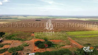 Vista aérea de área rural com plantações