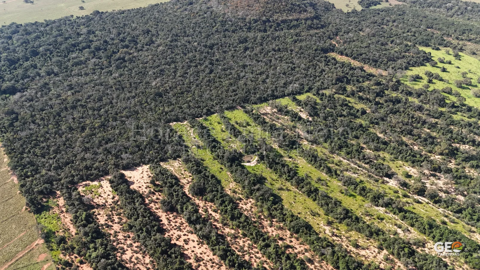 Vista aérea de área rural com vegetação densa