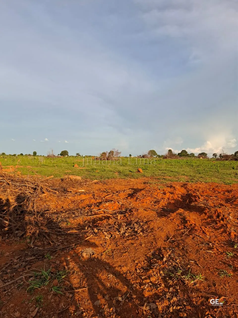 Terreno rural com solo exposto e vegetação