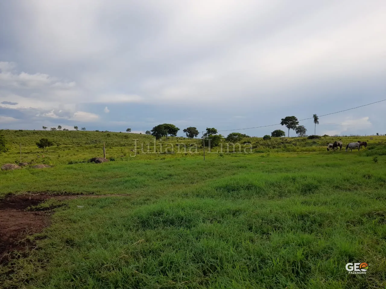 Mídia do imóvel