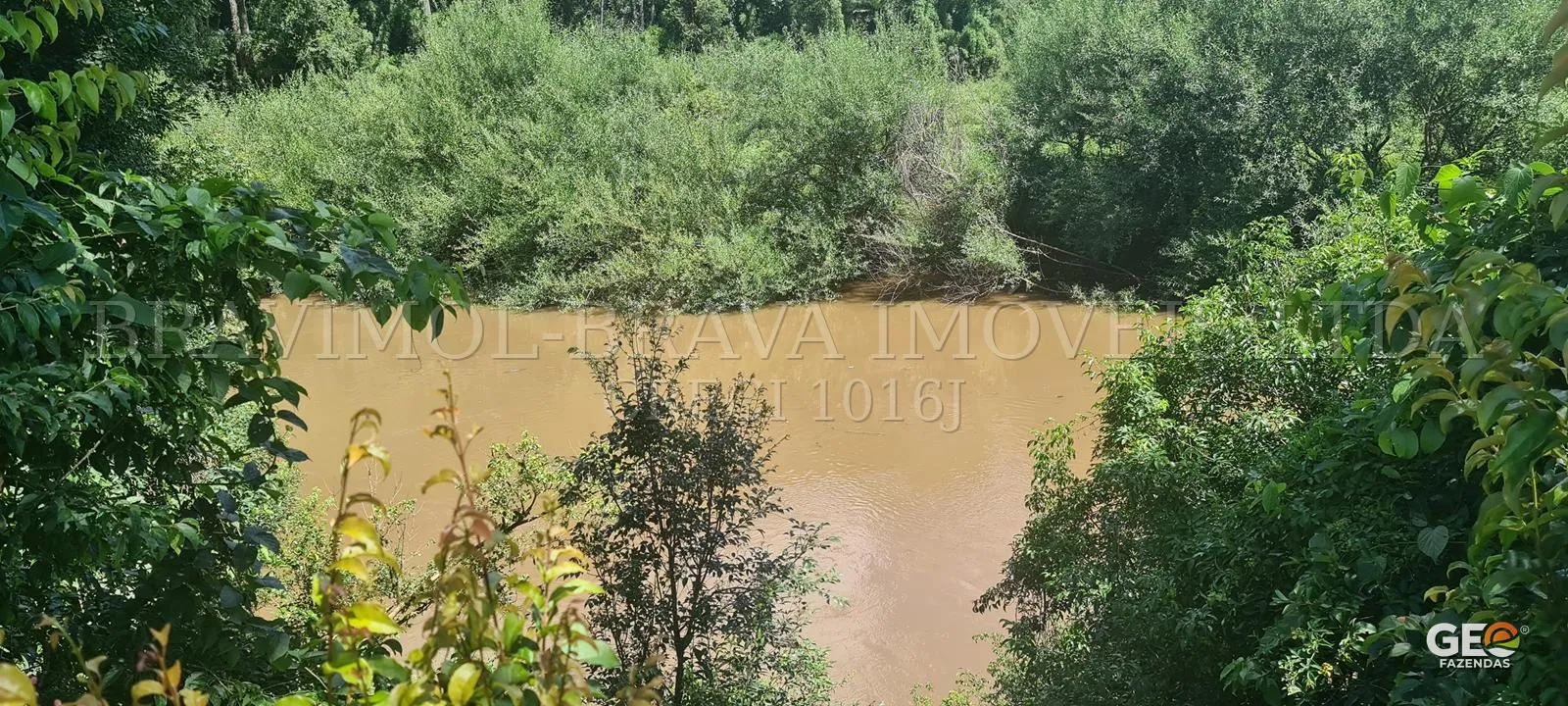 Rio cercado por vegetação densa em área rural