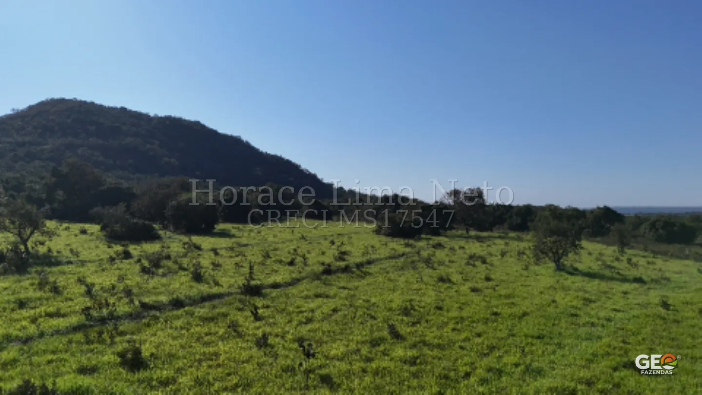 Terreno rural com vegetação e morro ao fundo