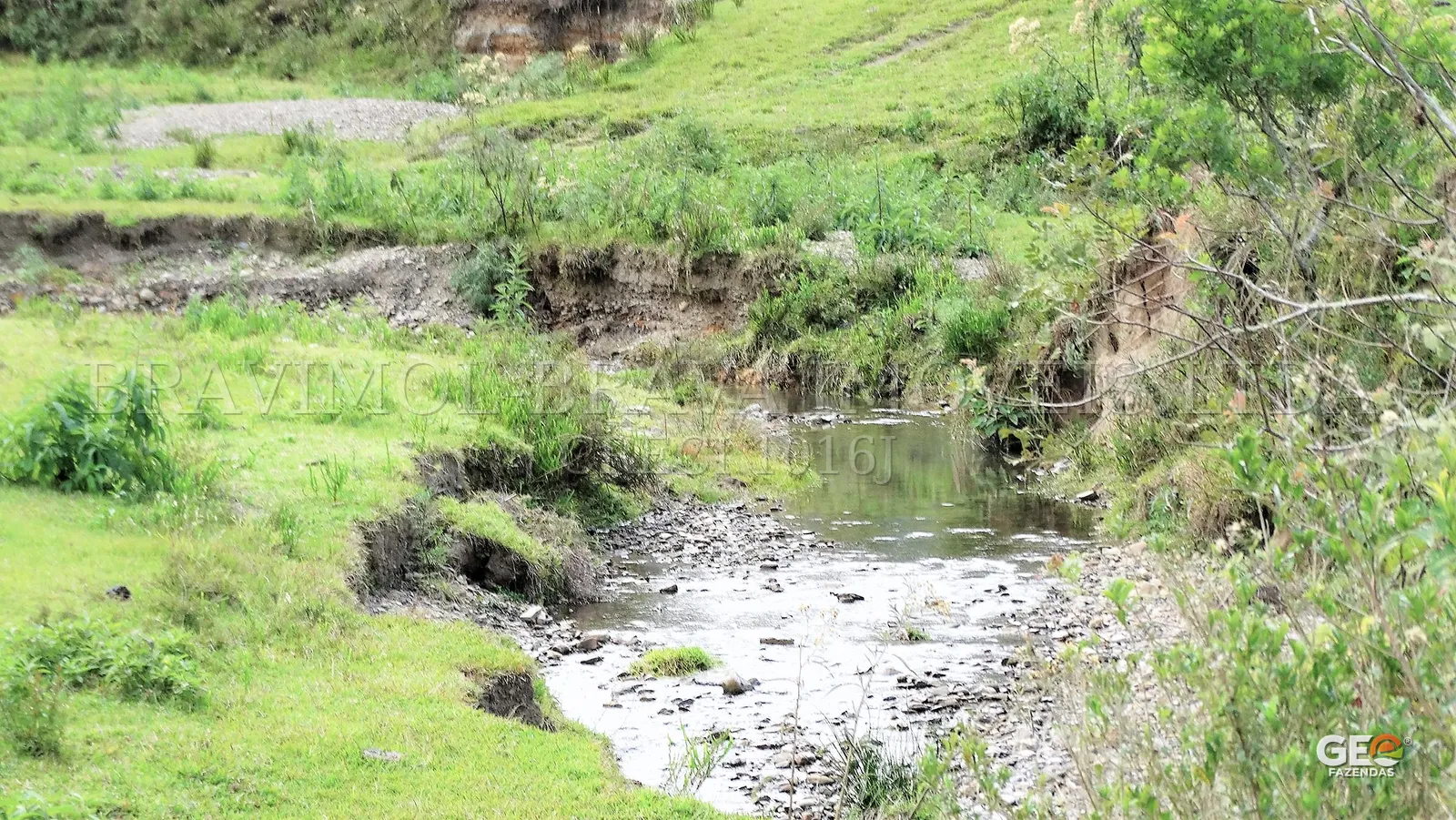 Curso d'água em área rural com vegetação
