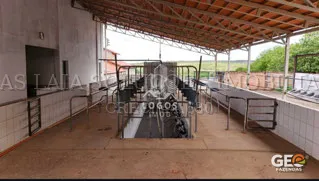 Estrutura coberta para manejo de gado