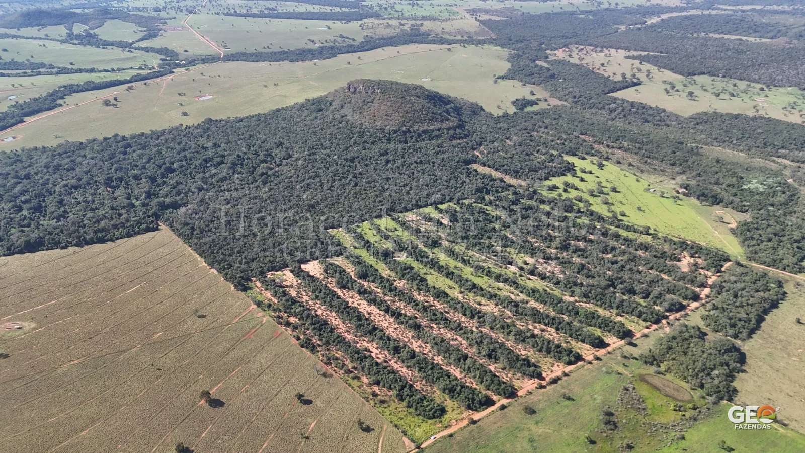 Vista aérea de área rural com vegetação e plantações