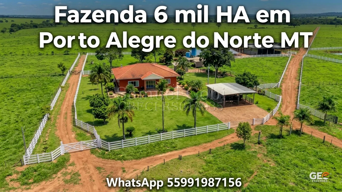 Fazenda com casa sede e pastagem em MT