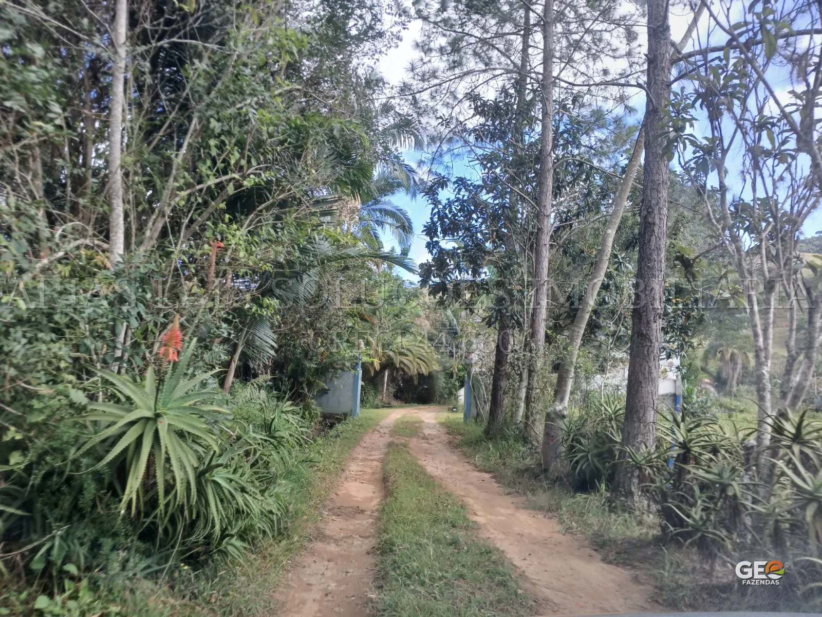 Mídia do imóvel