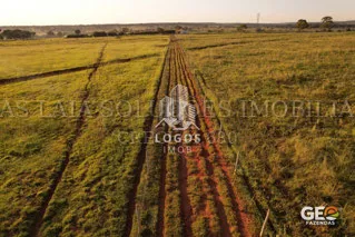 Terreno rural com pastagem e trilhas de terra