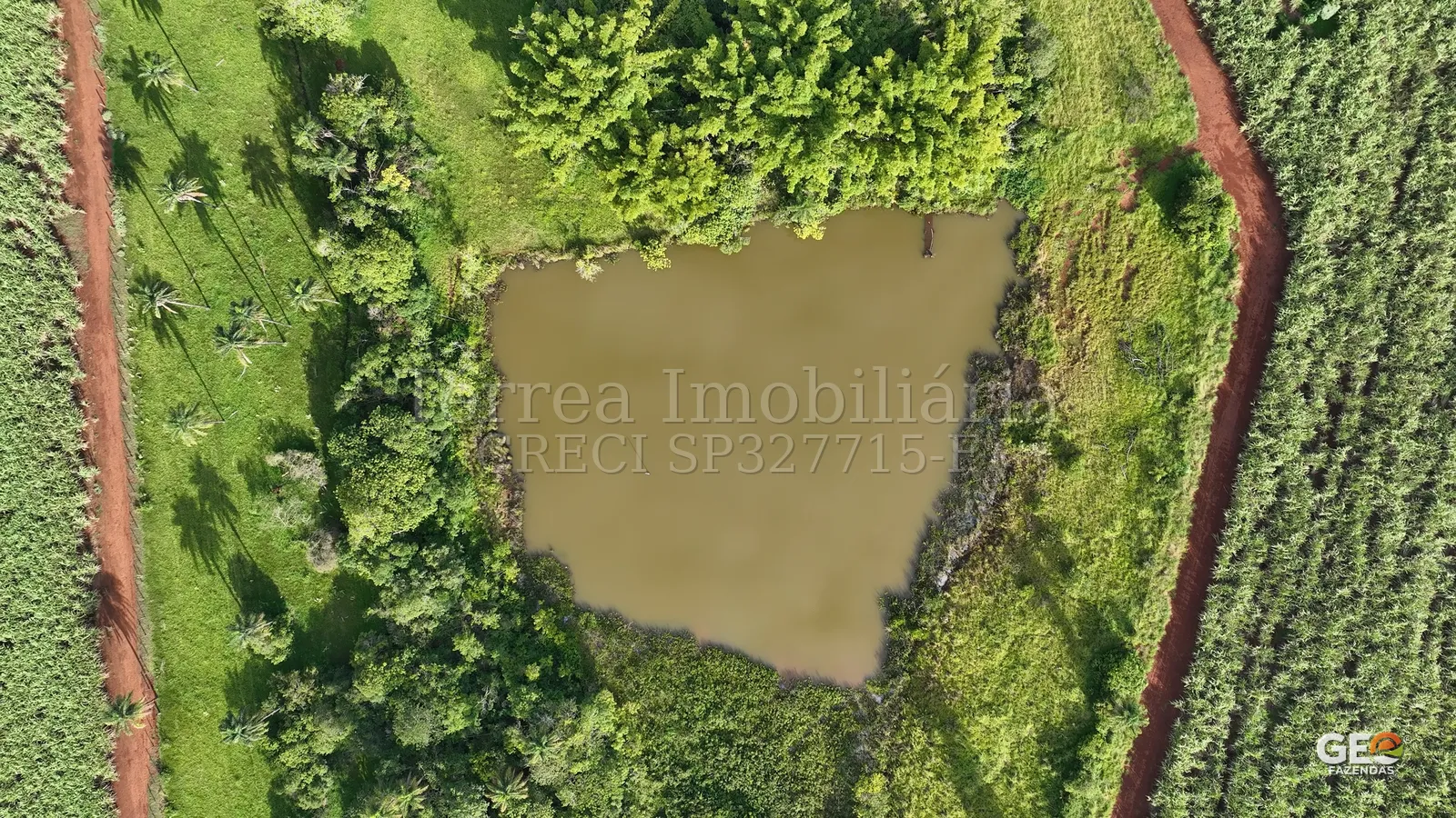 Lago e vegetação em propriedade rural