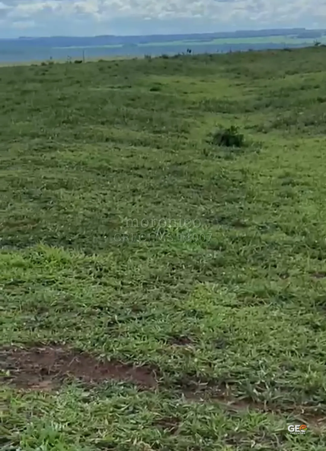 Terreno rural com vegetação verde e horizonte aberto