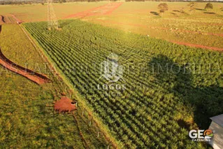 Área rural com plantação vista aérea