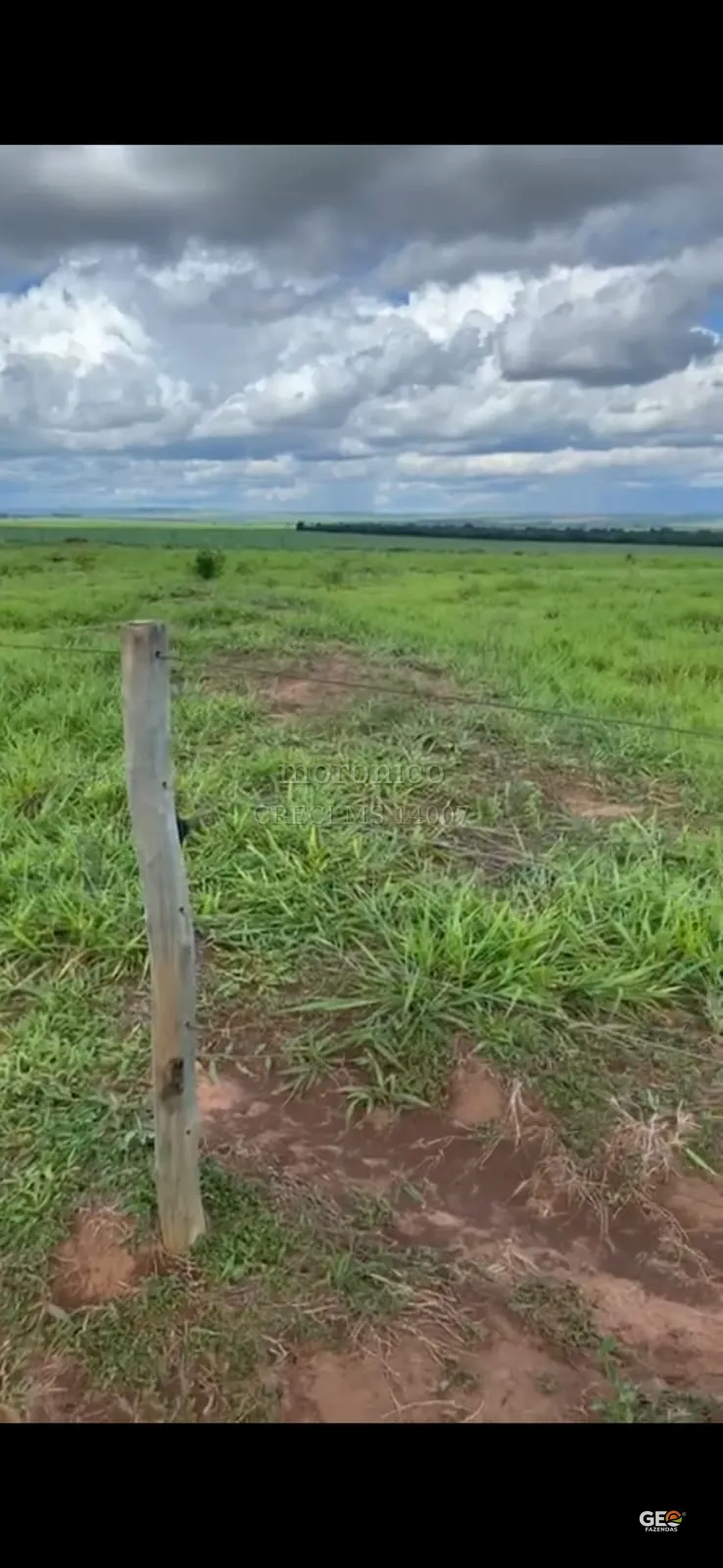 Terreno rural com cerca e pastagem verde