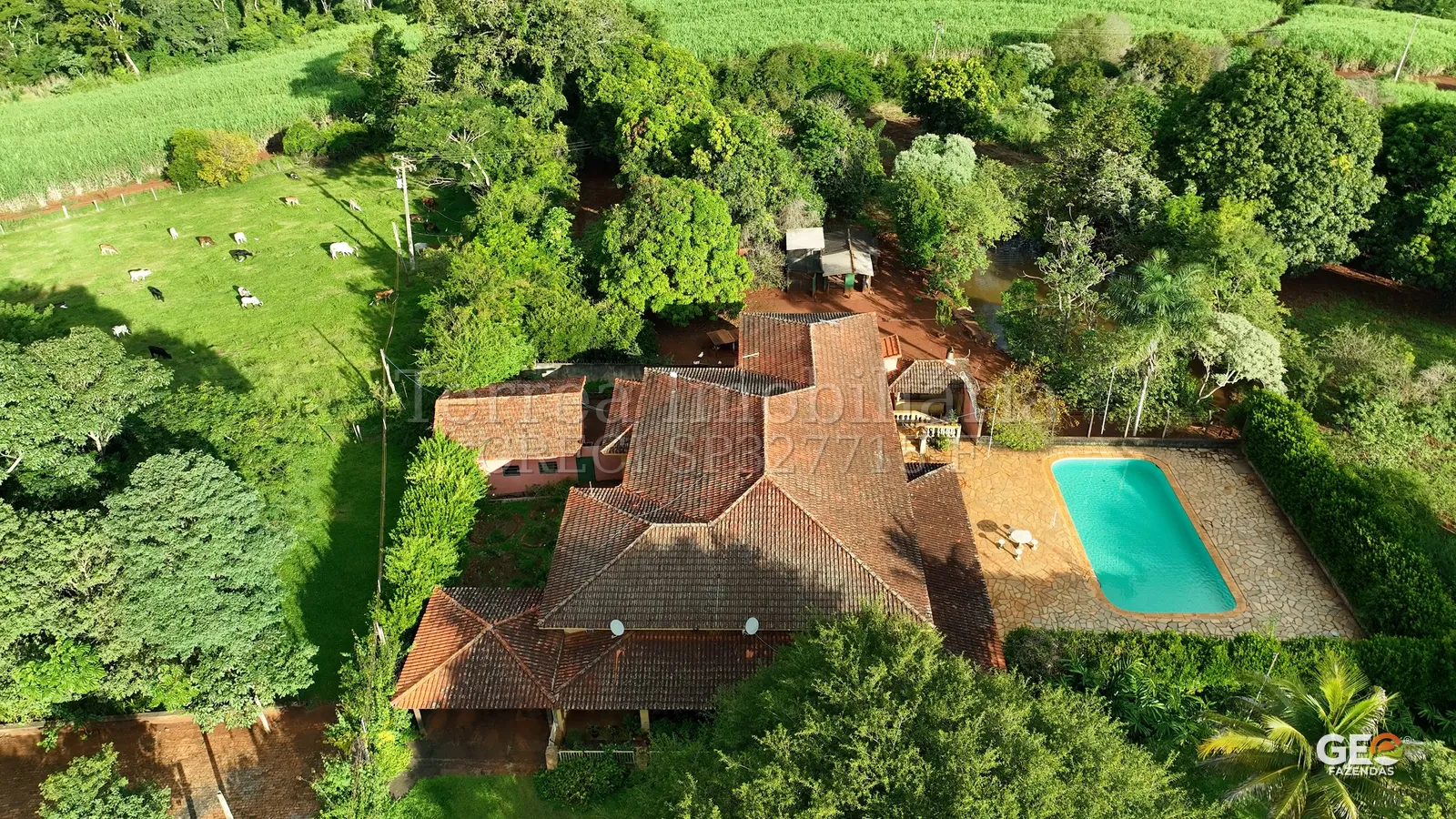 Vista aérea de fazenda com casa e piscina