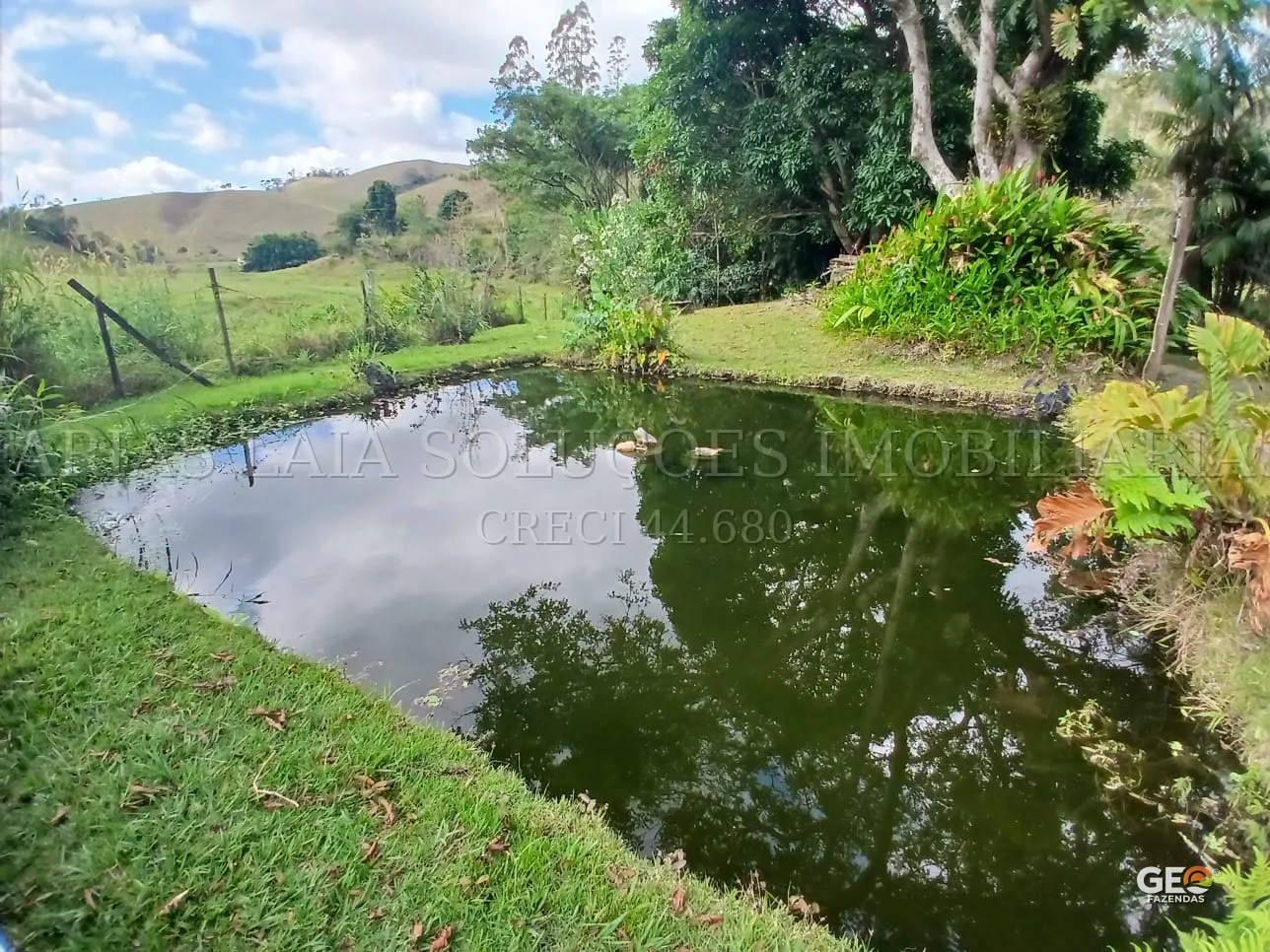 Lagoa cercada por vegetação em área rural