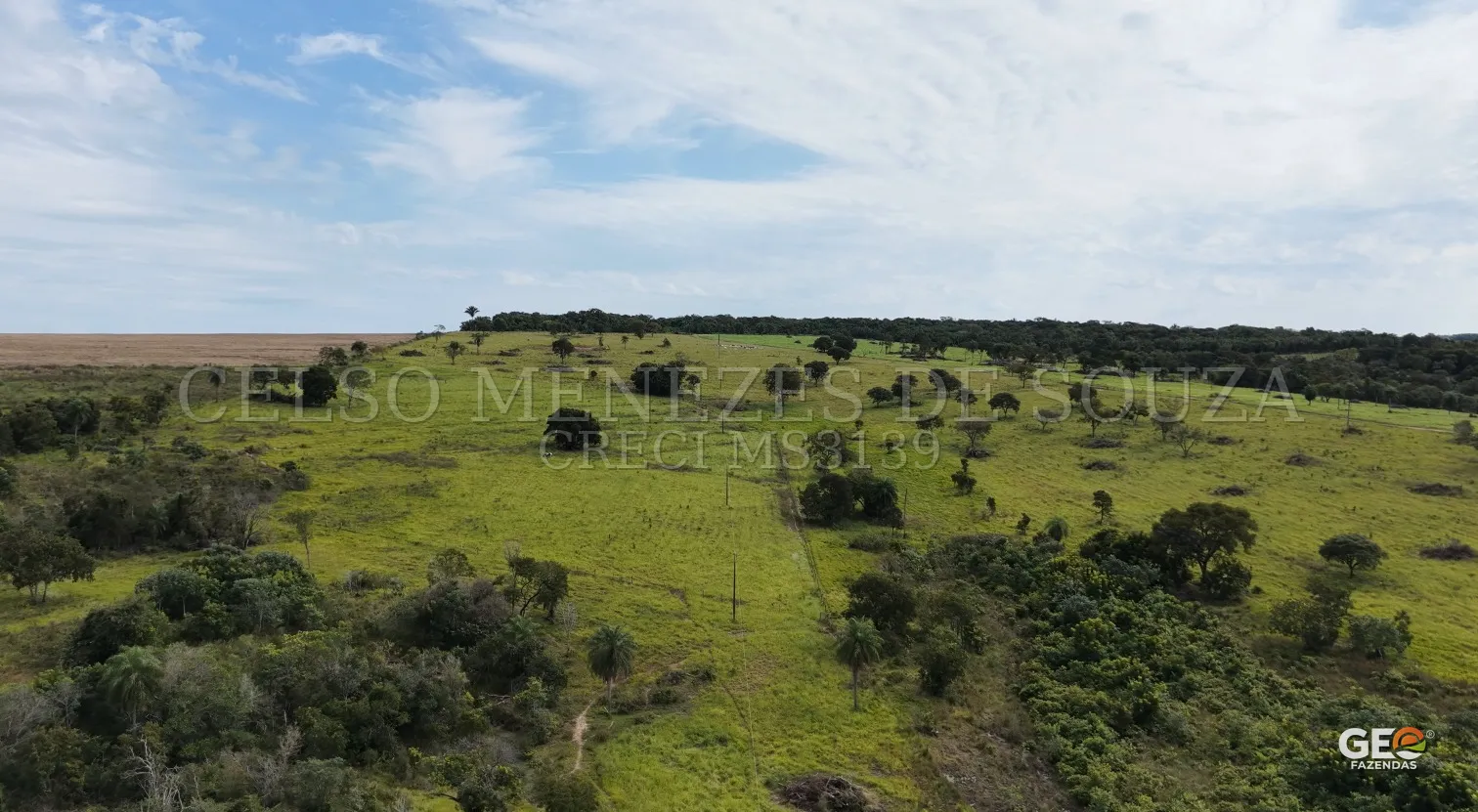 Área rural com pastagem e vegetação nativa