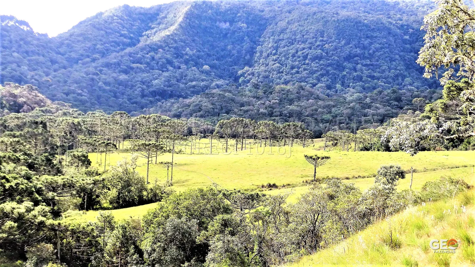 Área rural com pastagem e mata nativa