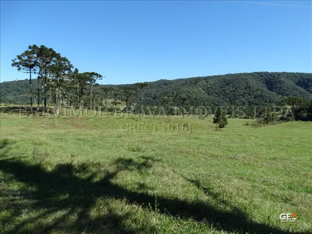 Área de pastagem com árvores e morro ao fundo