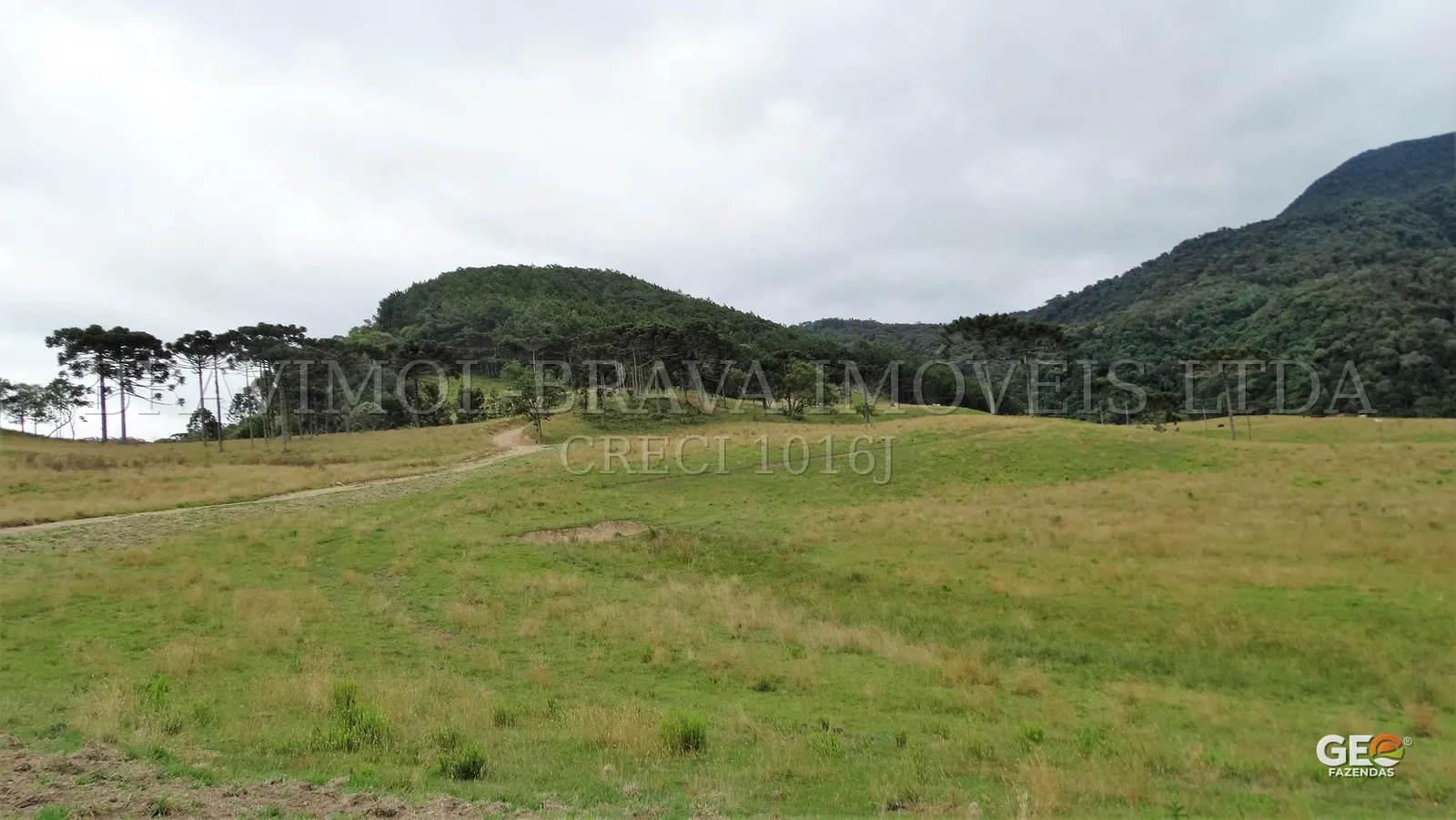 Área rural com pastagem e morros arborizados