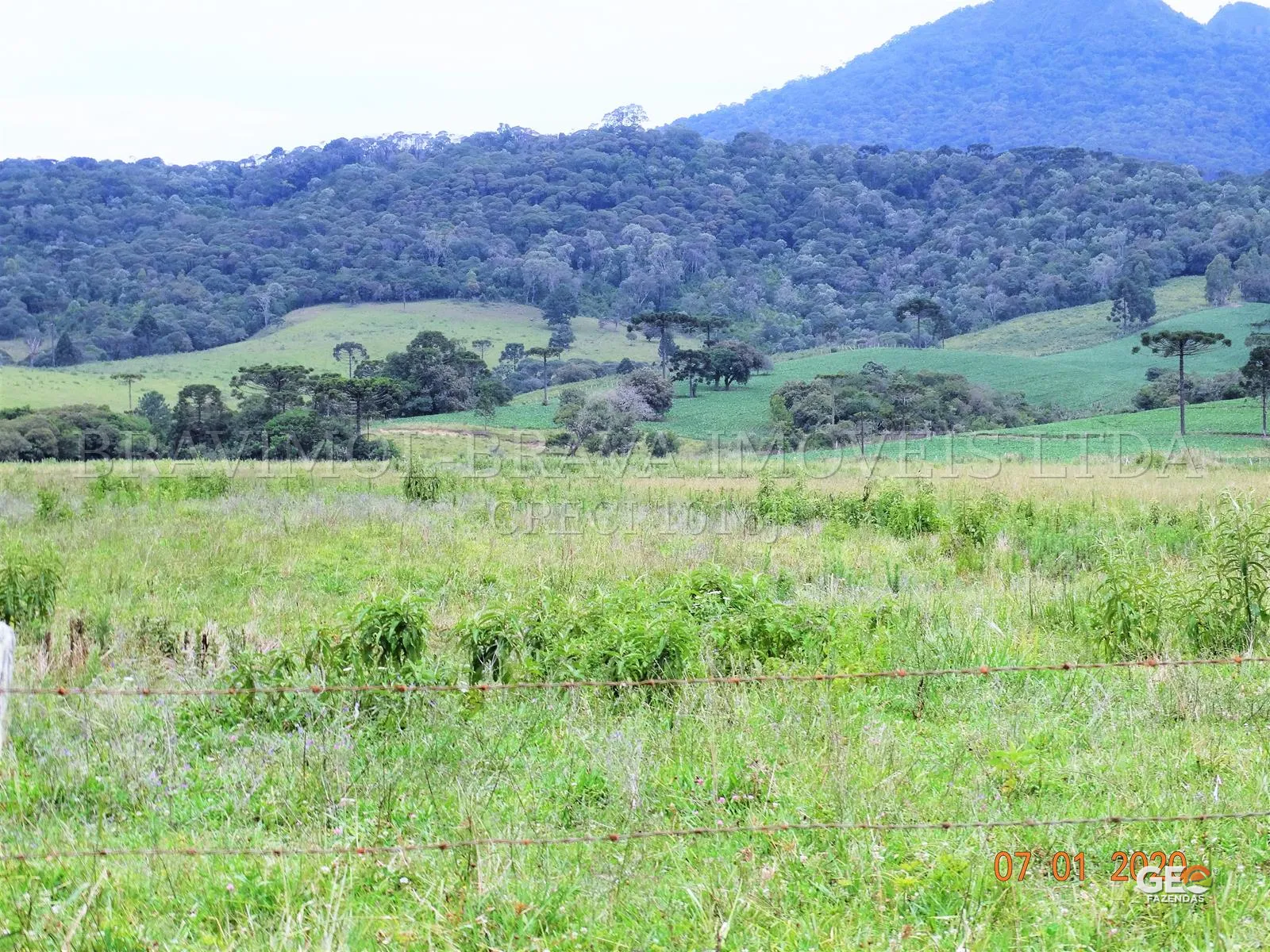 Área rural com pastagem e vegetação nativa