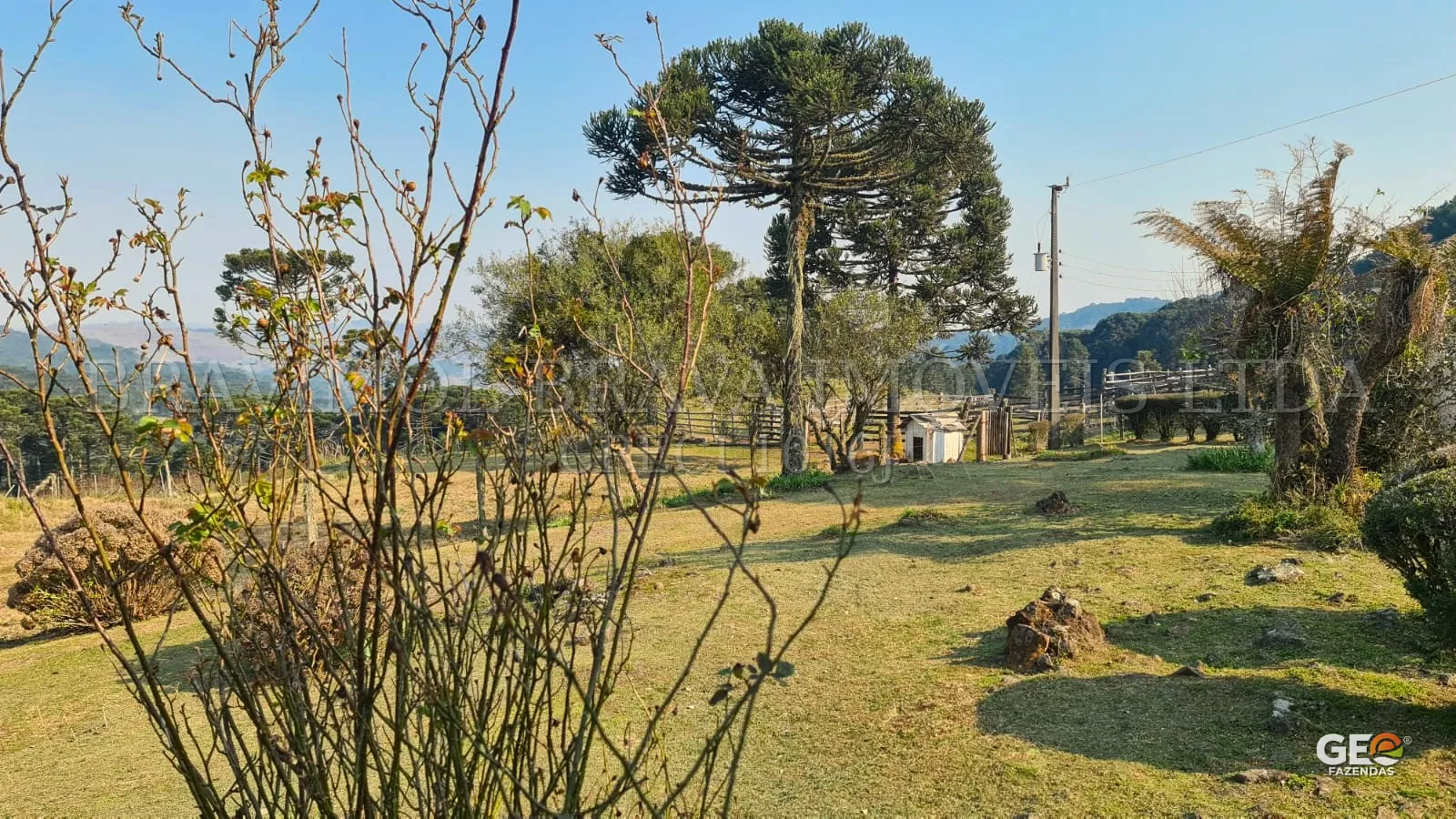 Área rural com árvores e cercas ao fundo