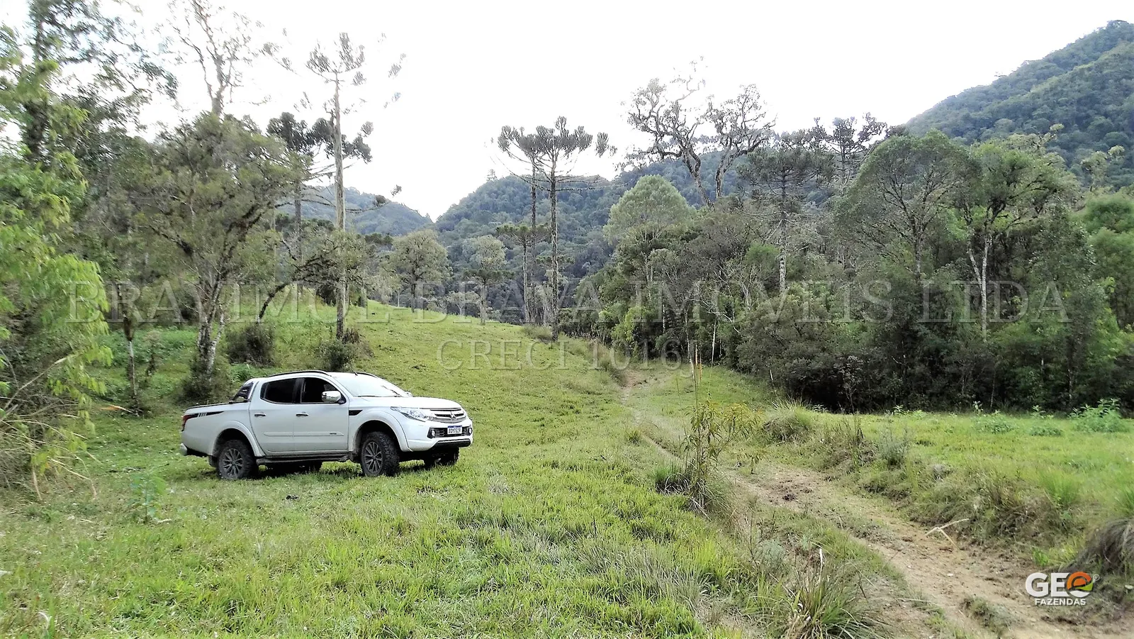 Área rural com caminhonete e vegetação nativa