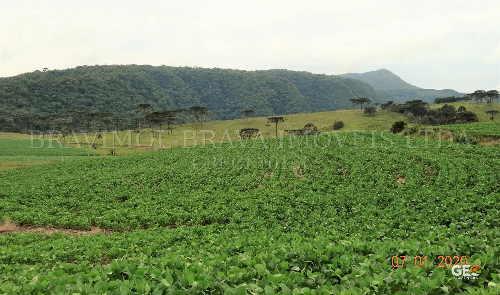 Área rural com plantação e morros ao fundo