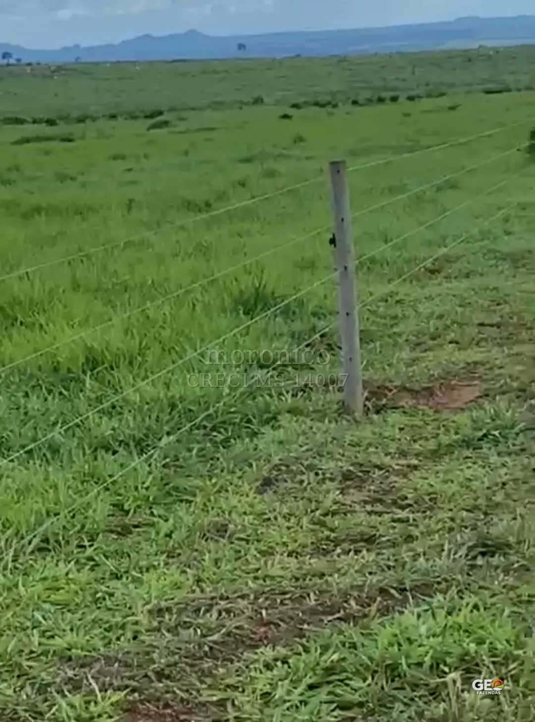 Área rural com cerca e pastagem verde