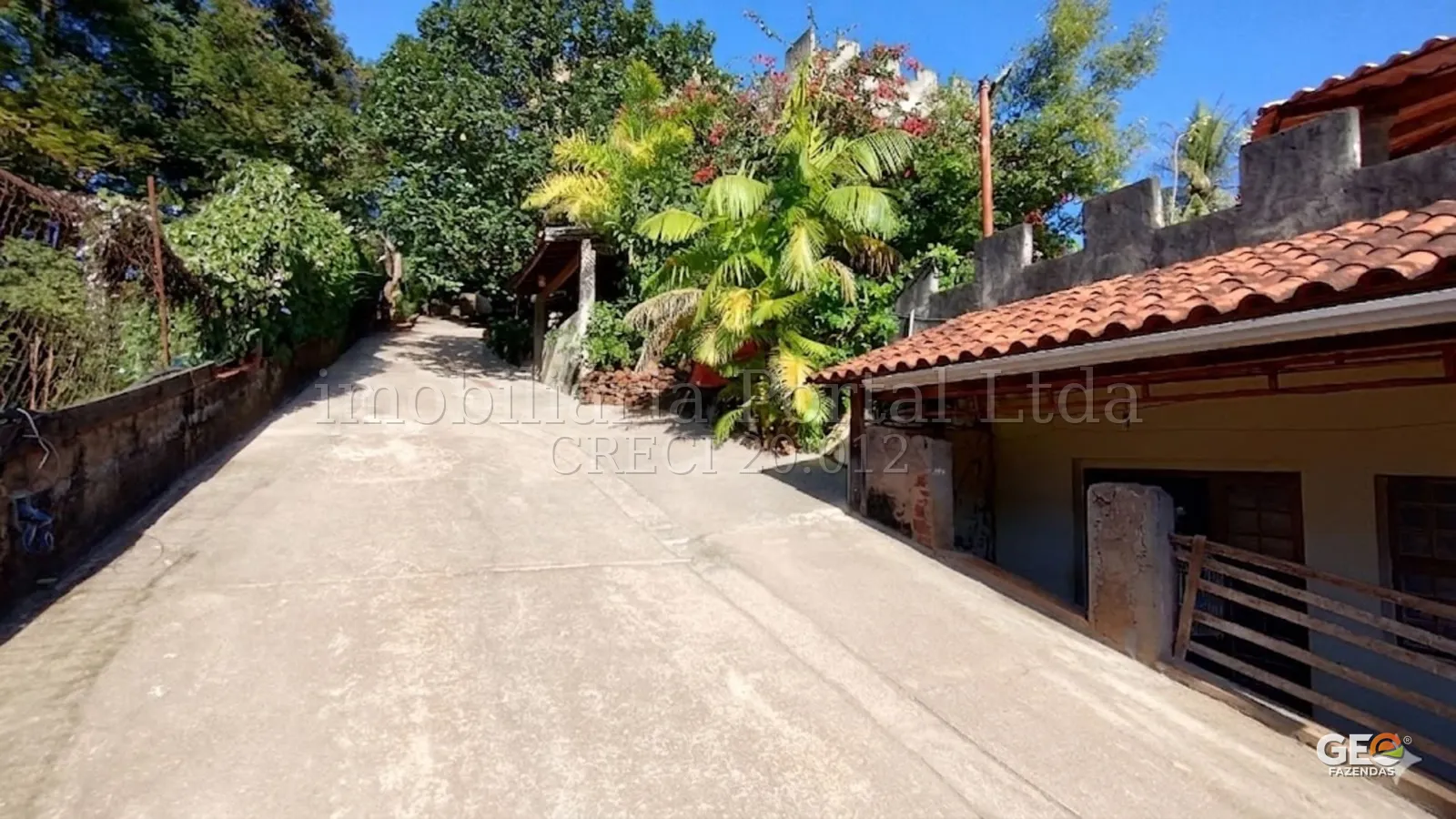 Acesso pavimentado em propriedade rural com vegetação