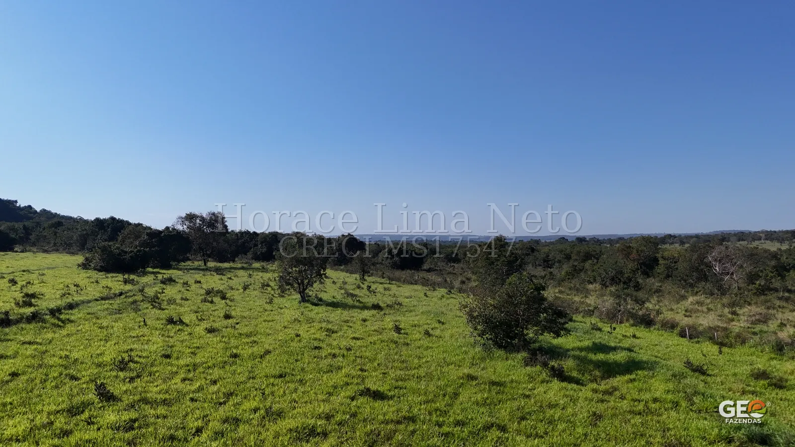 Área rural com pastagem e vegetação nativa