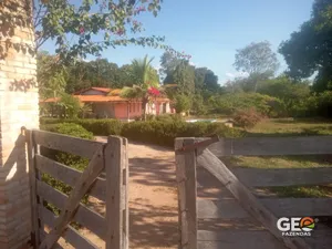 Fazenda em Caxias - MA