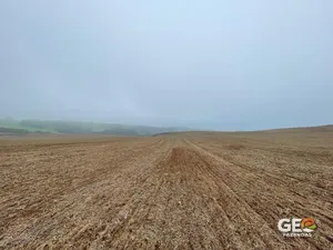 Fazenda em Soledade - RS