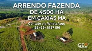 Fazenda em Caxias - MA