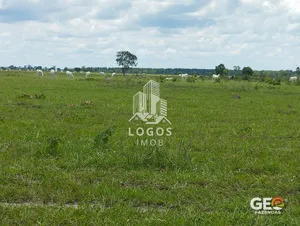Fazenda em João Pinheiro - MG