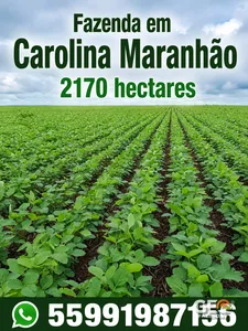 Fazenda em Colinas - MA