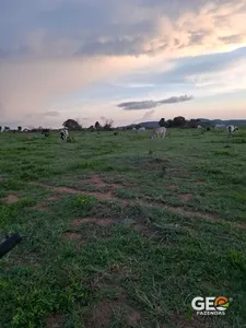 Fazenda em Confresa - MT