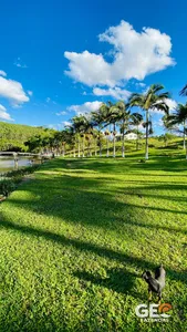 Fazenda em Sapopema - PR
