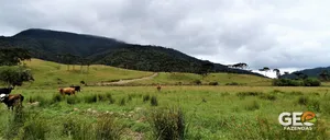 Fazenda em Bom Retiro - SC