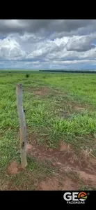 Fazenda em Pedro Gomes - MS