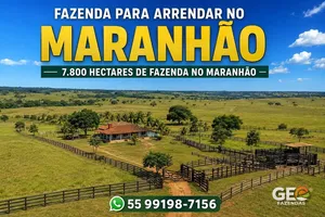 Fazenda em Balsas - MA